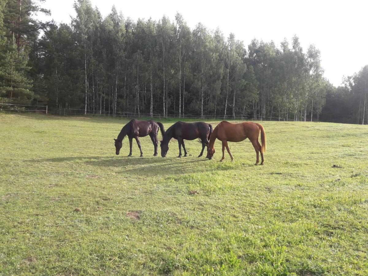 Apartamenty Lubiewo Mikołajki Dış mekan fotoğraf