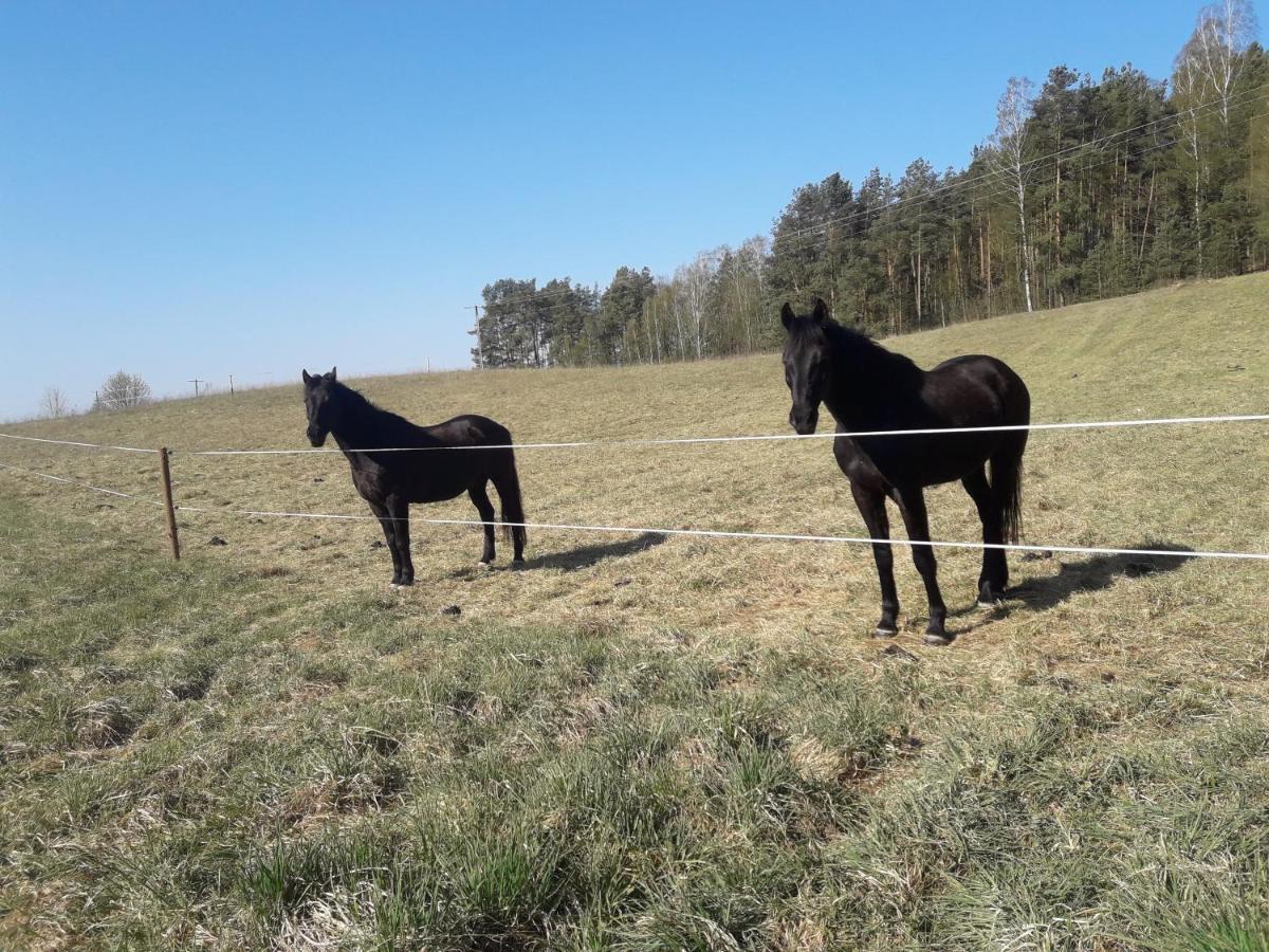 Apartamenty Lubiewo Mikołajki Dış mekan fotoğraf
